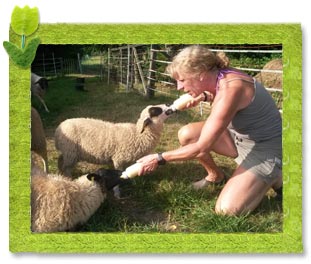 Kerstin Appel mit Schafen